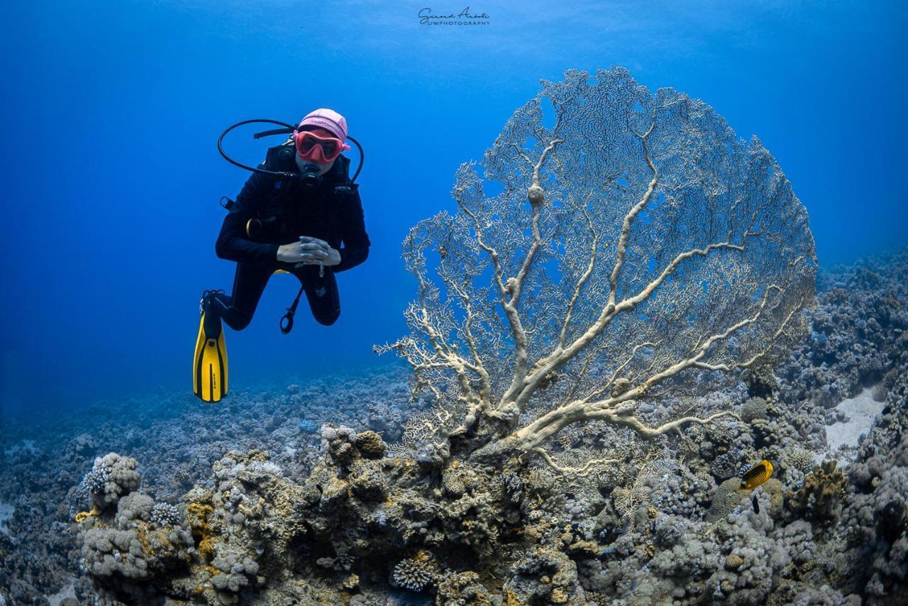 Bait Alaqaba Dive Center & Resort Eksteriør billede