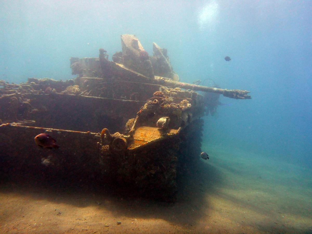 Bait Alaqaba Dive Center & Resort Eksteriør billede